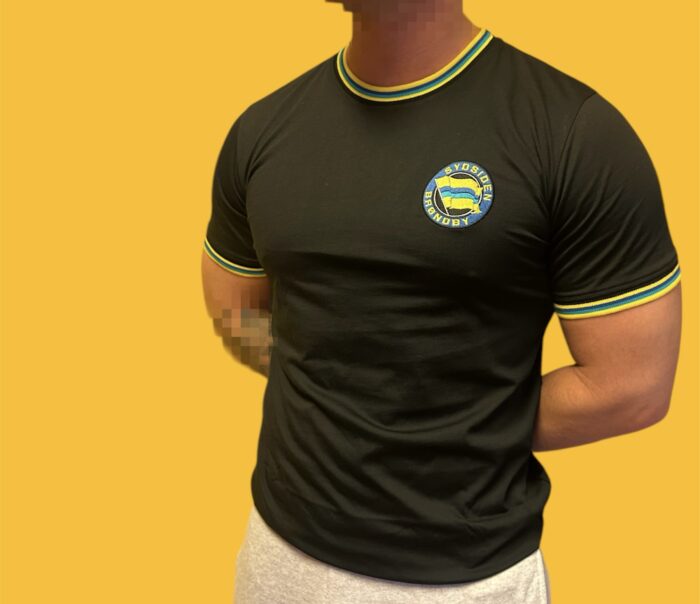 Sydsiden t-shirt med stribet krave - sirt